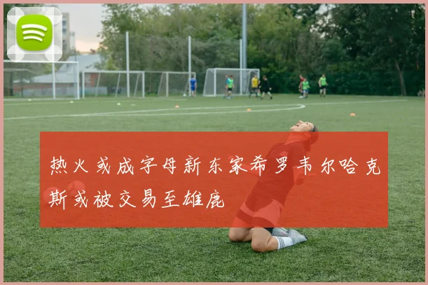 热火或成字母新东家希罗韦尔哈克斯或被交易至雄鹿